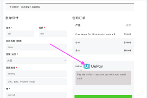 【支付插件】woocommerce对接uepay第三方平台插件